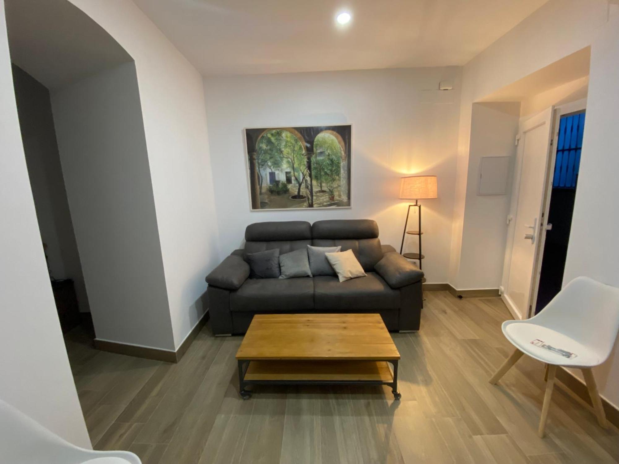 Suites Del Mar Y Suite De Cordoba - Apartmentos En Pleno Centro Eksteriør bilde